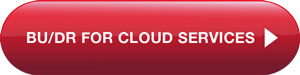 BU/DR Cloud Services