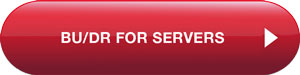 BU/DR Servers