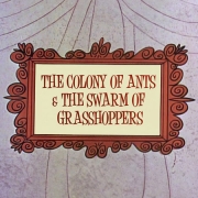 The Colony of Ants and the Swarm of Grasshoppers