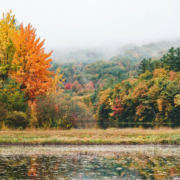 Fall tech reset