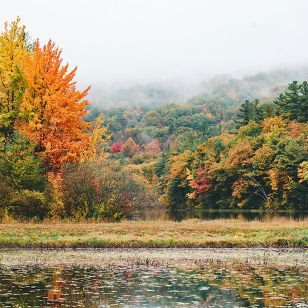 Fall tech reset