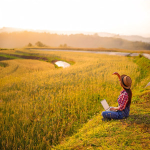 Girl on a laptop in a field
