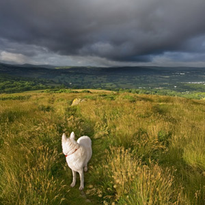 Storm gathering in the distance
